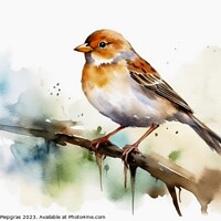 Buy canvas prints of Watercolor painted field sparrow on a white background. by Michael Piepgras