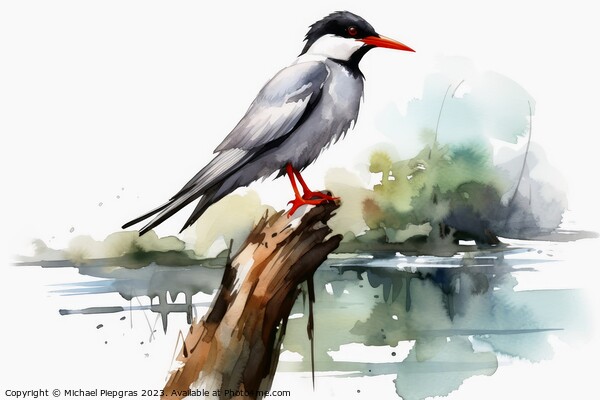 Watercolor painted common tern on a white background. Picture Board by Michael Piepgras