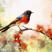 Buy canvas prints of Watercolor painted garden redstart on a white background. by Michael Piepgras