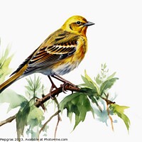 Buy canvas prints of Watercolor painted yellowhammer on a white background. by Michael Piepgras