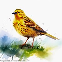 Buy canvas prints of Watercolor painted yellowhammer on a white background. by Michael Piepgras