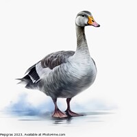 Buy canvas prints of Watercolor painted grey goose on a white background. by Michael Piepgras