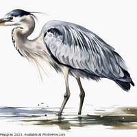 Buy canvas prints of Watercolor painted grey heron on a white background. by Michael Piepgras