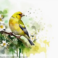 Buy canvas prints of Watercolor painted greenfinch on a white background. by Michael Piepgras