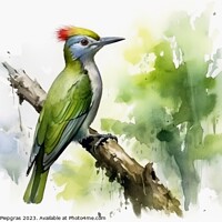 Buy canvas prints of Watercolor painted green woodpecker on a white background. by Michael Piepgras