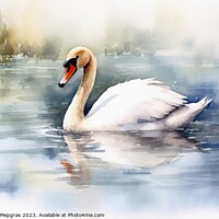 Buy canvas prints of Watercolor painted white swan on a white background. by Michael Piepgras