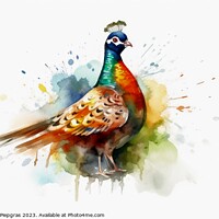 Buy canvas prints of Watercolor painted hunting pheasant on a white background. by Michael Piepgras
