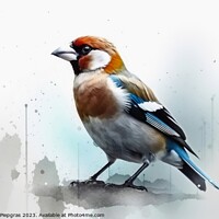 Buy canvas prints of Watercolor painted hawfinch on a white background. by Michael Piepgras