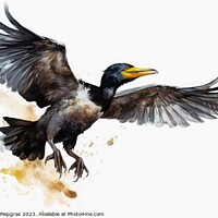 Buy canvas prints of Watercolor painted cormorant on a white background. by Michael Piepgras
