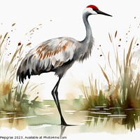 Buy canvas prints of Watercolor painted crane bird on a white background. by Michael Piepgras