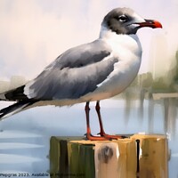 Buy canvas prints of Watercolor painted laughing gull on a white background. by Michael Piepgras