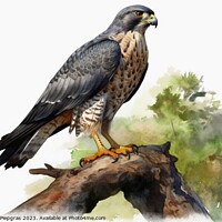 Buy canvas prints of Watercolor painted merlin hawk on a white background. by Michael Piepgras