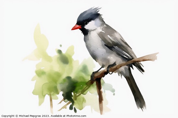 Watercolor painted eurasian blackcap on a white background. Picture Board by Michael Piepgras