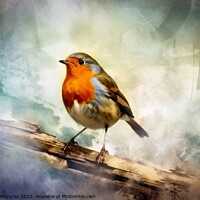 Buy canvas prints of Watercolor painted robin bird on a white background. by Michael Piepgras