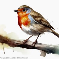 Buy canvas prints of Watercolor painted robin bird on a white background. by Michael Piepgras
