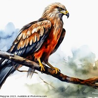 Buy canvas prints of Watercolor painted red kite bird on a white background. by Michael Piepgras