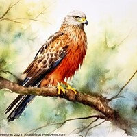 Buy canvas prints of Watercolor painted red kite bird on a white background. by Michael Piepgras