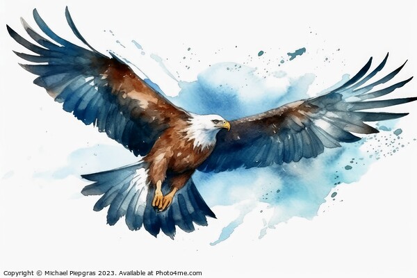 Watercolor painted sea eagle on a white background. Picture Board by Michael Piepgras