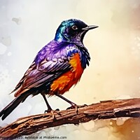Buy canvas prints of Watercolor painted starling on a white background. by Michael Piepgras