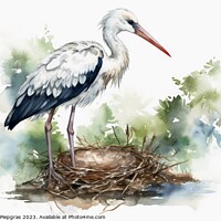 Buy canvas prints of Watercolor painted white stork on a white background. by Michael Piepgras
