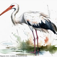 Buy canvas prints of Watercolor painted white stork on a white background. by Michael Piepgras