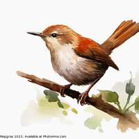Buy canvas prints of Watercolor painted wren bird on a white background. by Michael Piepgras