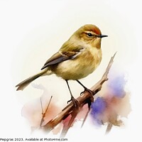 Buy canvas prints of Watercolor painted chiffchaff bird on a white background. by Michael Piepgras