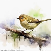 Buy canvas prints of Watercolor painted chiffchaff bird on a white background. by Michael Piepgras