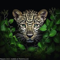 Buy canvas prints of A close up portrait of mesmerizing leopard photography created w by Michael Piepgras