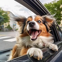 Buy canvas prints of A funny dog out of a car window created with generative AI techn by Michael Piepgras