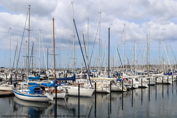 Lots of boats at the Marina in Schilksee close to Kiel in German Picture Board by Michael Piepgras