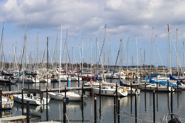 Lots of boats at the Marina in Schilksee close to Kiel in German Picture Board by Michael Piepgras