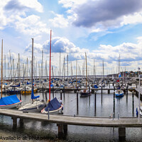 Buy canvas prints of Lots of boats at the Marina in Schilksee close to Kiel in German by Michael Piepgras