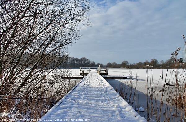 Beautiful winter shot at a lake and forest with snow and ice Picture Board by Michael Piepgras