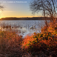 Buy canvas prints of Beautiful and romantic sunset at a lake in yellow and orange col by Michael Piepgras