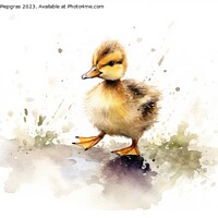 Buy canvas prints of Watercolor painting of a duckling by Michael Piepgras