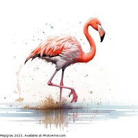 Buy canvas prints of Watercolor painting of a flamingo on a white background. by Michael Piepgras