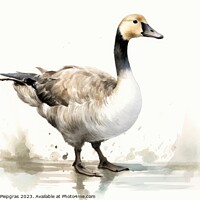 Buy canvas prints of Watercolor painting of a goose on a white background. by Michael Piepgras