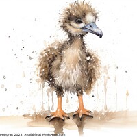 Buy canvas prints of Watercolor painting of an ostrich on a white background. by Michael Piepgras