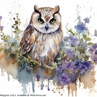 Buy canvas prints of Watercolor painting of an owl on a white background. by Michael Piepgras