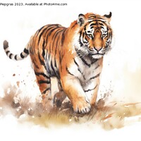 Buy canvas prints of Watercolor painting of a Tiger on a white background. by Michael Piepgras