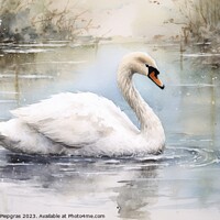 Buy canvas prints of Watercolor painting of a swan on a white background. by Michael Piepgras