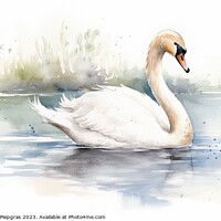 Buy canvas prints of Watercolor painting of a swan on a white background. by Michael Piepgras