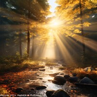 Buy canvas prints of A sunrise in a misty forest. by Michael Piepgras