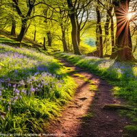 Buy canvas prints of Lonely Footpath through some blue bell flowers in a forest lands by Michael Piepgras
