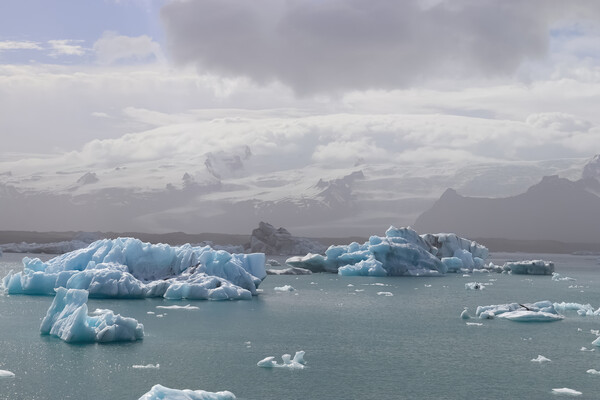 Iceland, Jokulsarlon Lagoon, Turquoise icebergs floating in Glacier Lagoon on Iceland. Picture Board by Michael Piepgras
