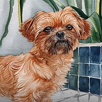 Buy canvas prints of A beautiful watercolor painting of a cute dog. by Michael Piepgras