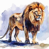 Buy canvas prints of Watercolor of a big impressive lion on white. by Michael Piepgras