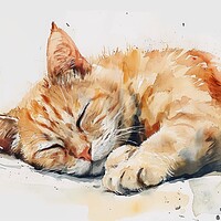 Buy canvas prints of Watercolor of a cute cat on white. by Michael Piepgras
