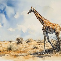 Buy canvas prints of Watercolor of a Giraffe in the Savannah. by Michael Piepgras